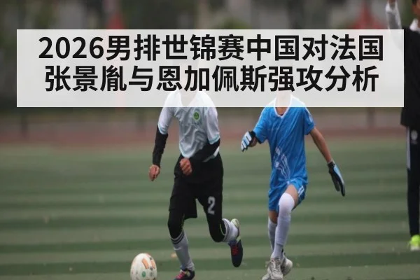 2026男排世锦赛中国对法国张景胤与恩加佩斯强攻分析